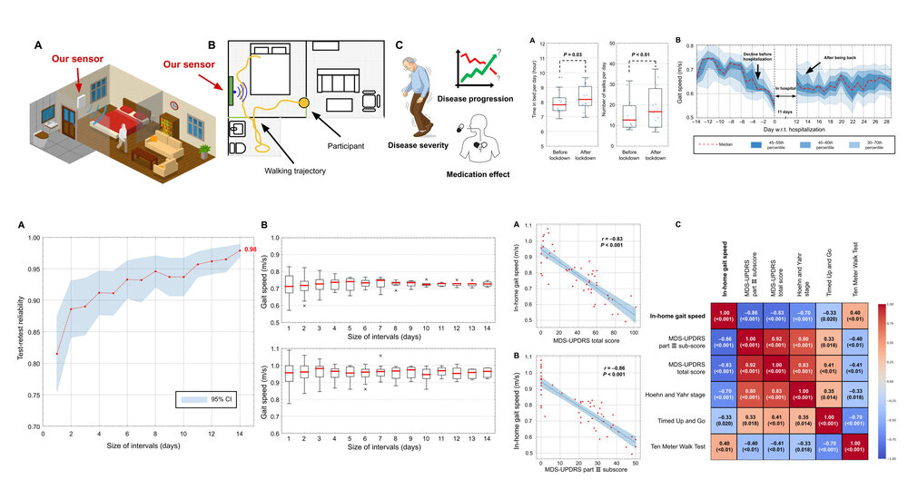 Monitoring gait at home with radio waves in Parkinson’s disease: A marker of severity, progression, and medication response