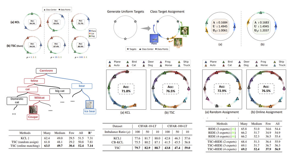 Targeted Supervised Contrastive Learning for Long-Tailed Recognition